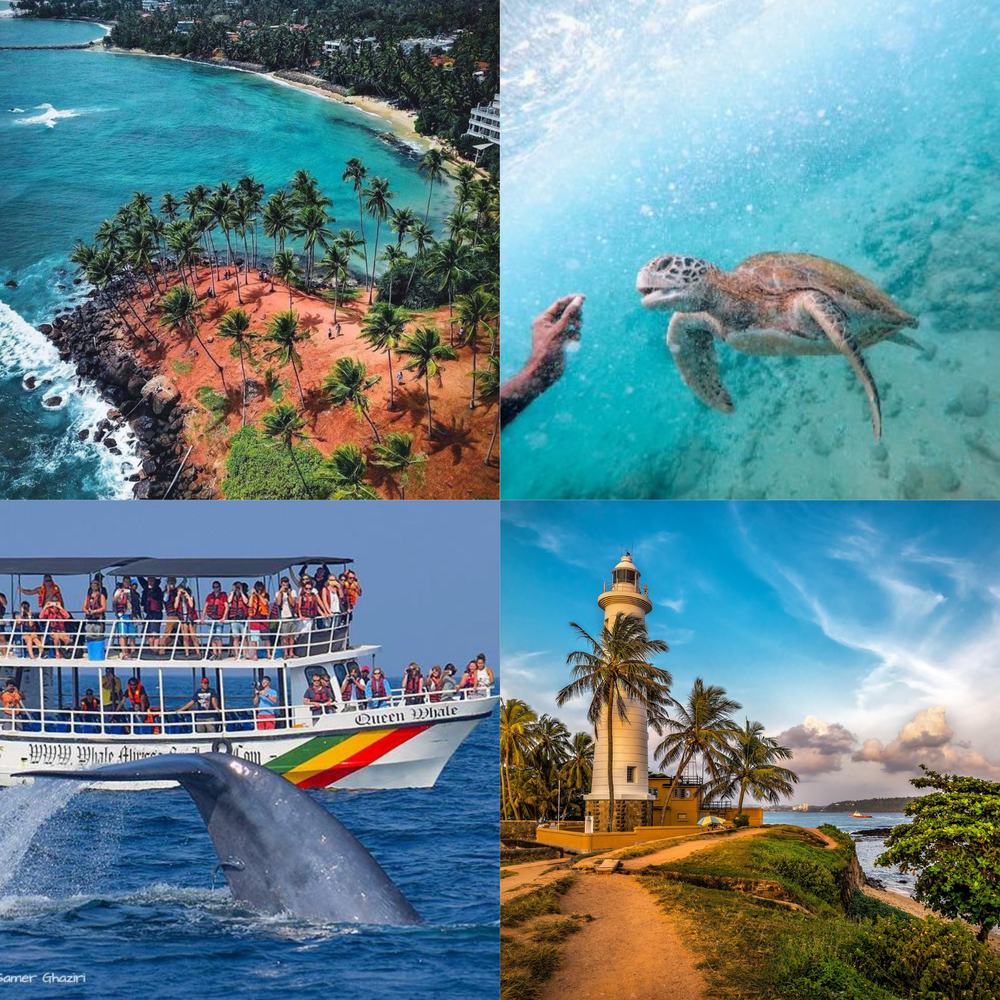 Down South Discovery Tour