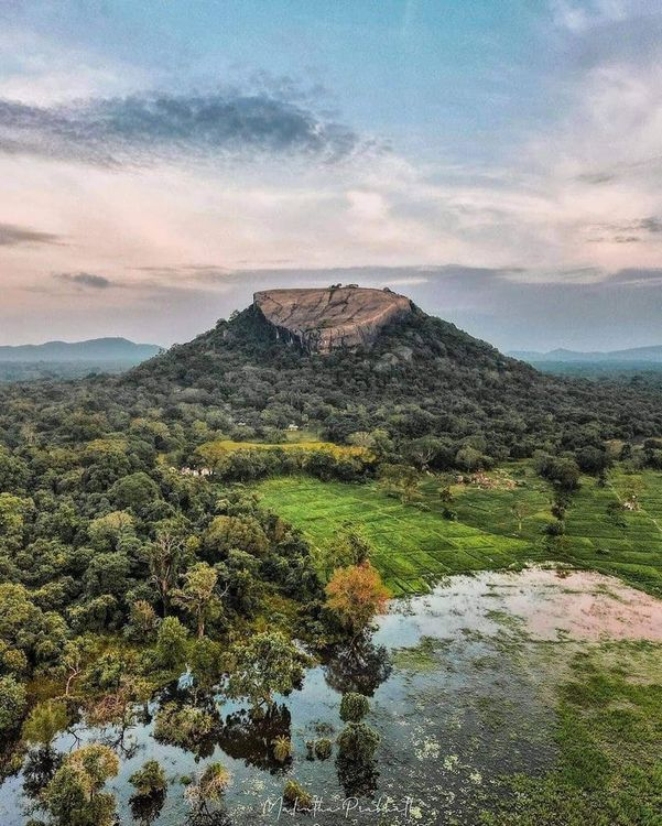 Pidurangala Rock